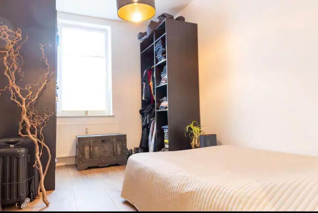 Design Apartment Im Zentrum Von Nienburg! Nienburg  Extérieur photo